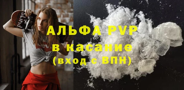 амф Алексин