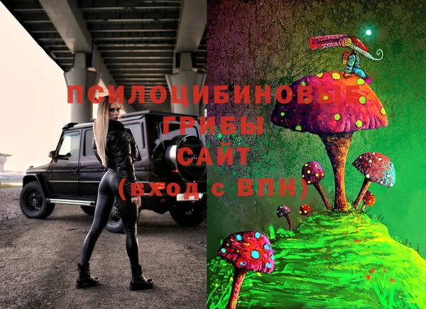 МДПВ Алзамай